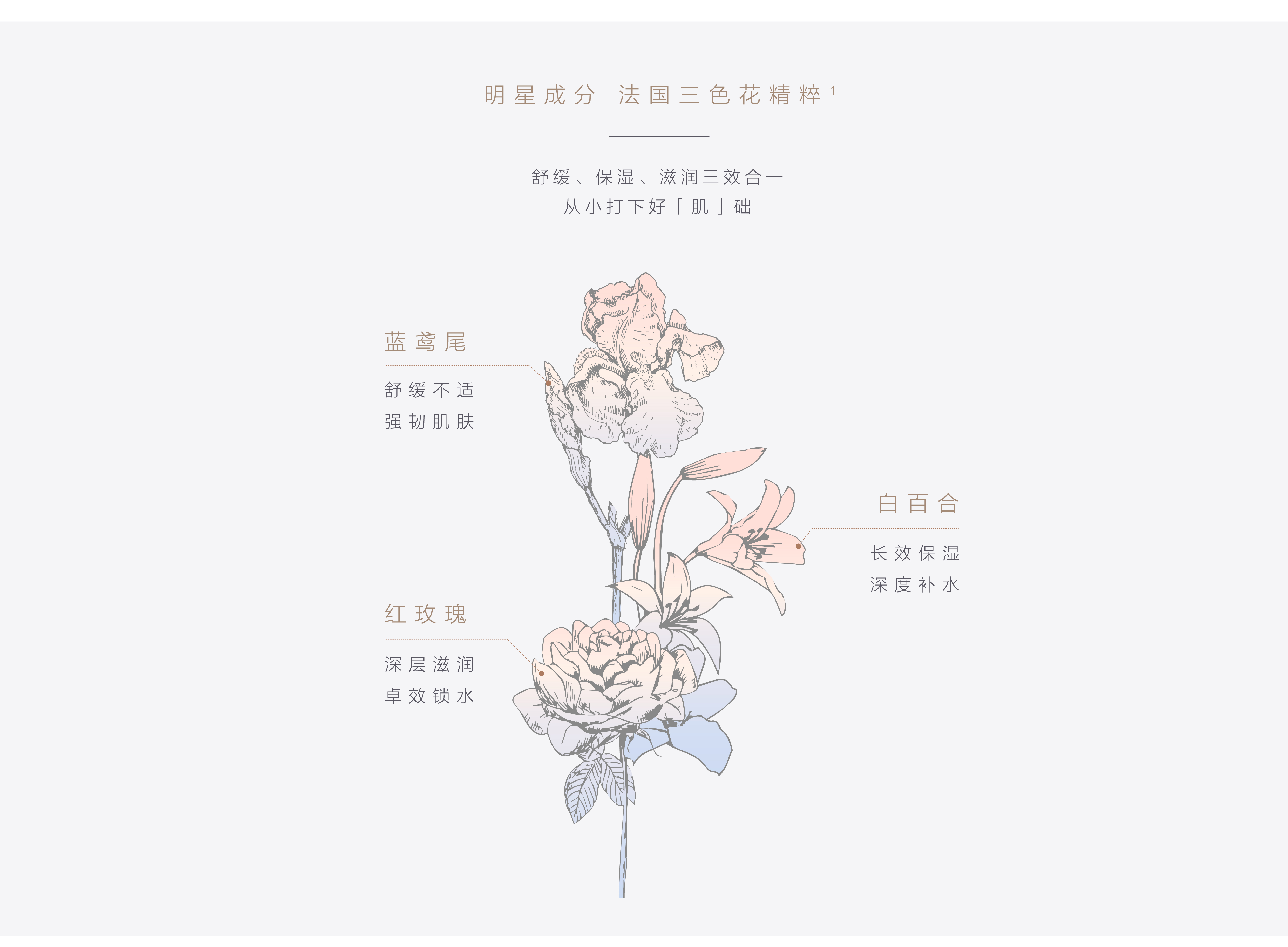 保湿乳液-中文pc_05.jpg